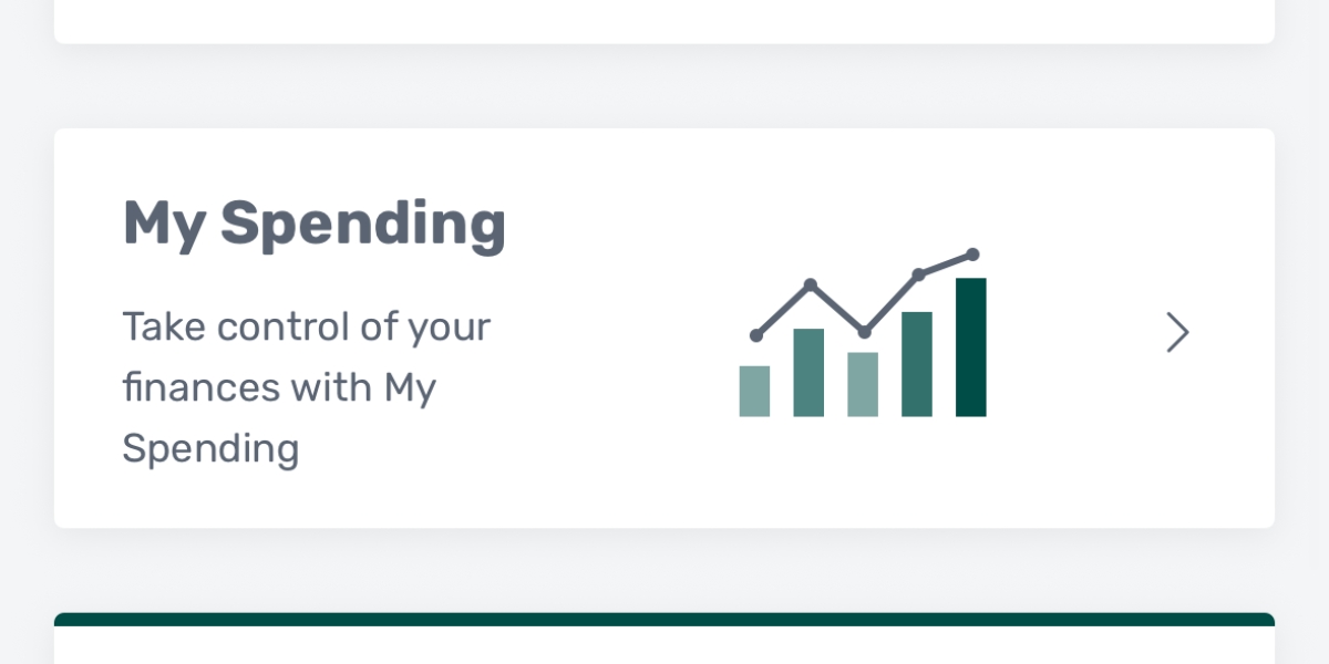 my spending on account overview page