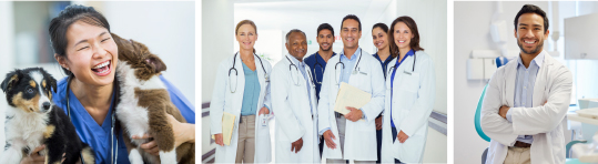 Photos of different types of doctors