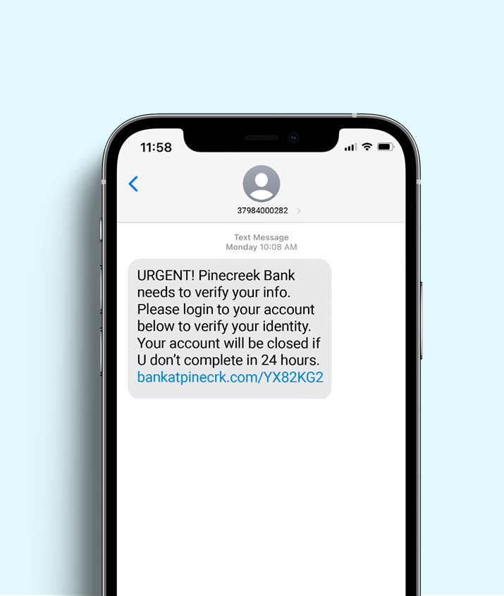 scam text on phone with blue background