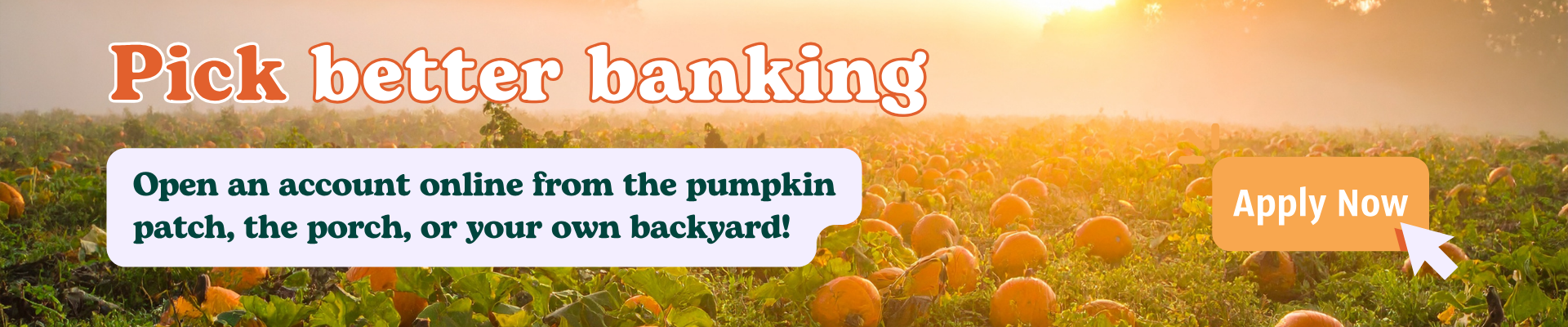 pick better banking - pumpkin patch Banner