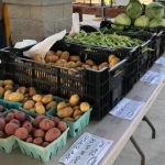 Tables with potatoes, green beans and cabbage for sale.