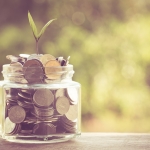 jar of coins with bud growing 
